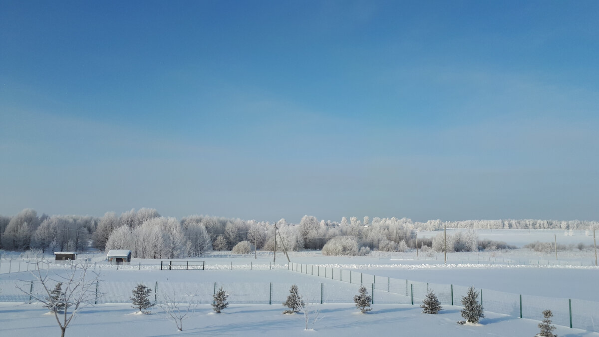 Освобожденные от снега