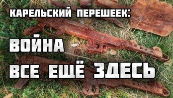 Война все еще здесь. Наткнулись на старое болото, полное неожиданных находок