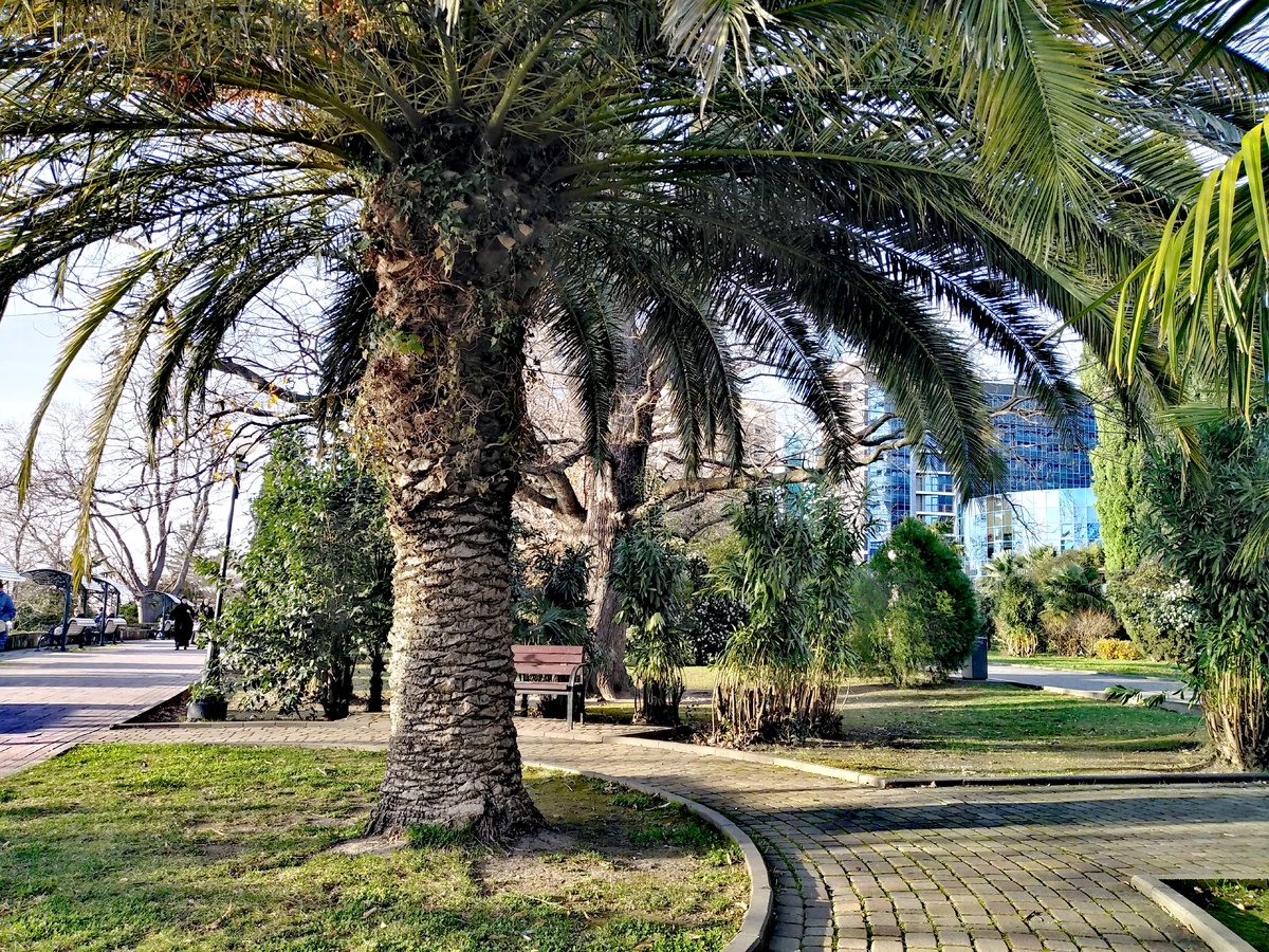 Мой блог - о самых красивых местах в Сочи, о жизни на курорте, о путешествиях. Добро пожаловать! 👋 Это наш Приморский парк в несезон :) Фото автора