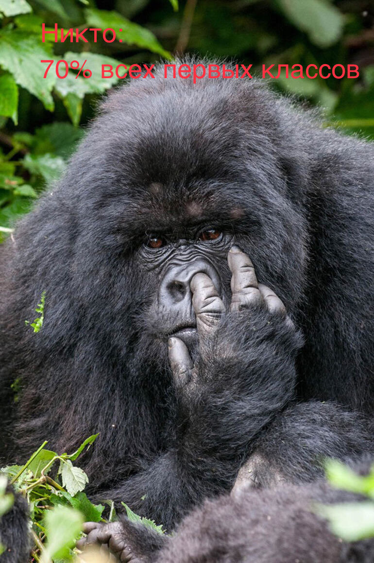 Как минимум в нашем классе было так (я входил в 30% которые этим не занимались)