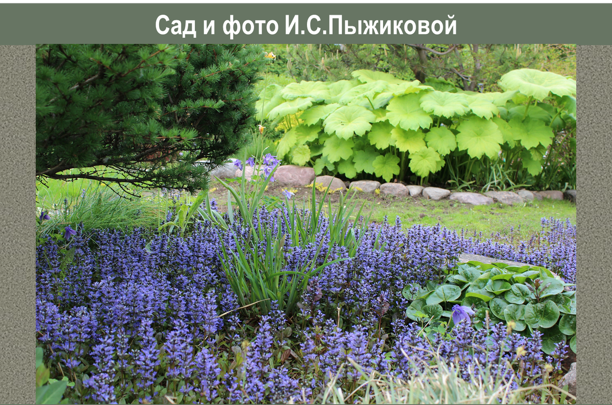 Ленобласть, источник: vk.com/id18781837