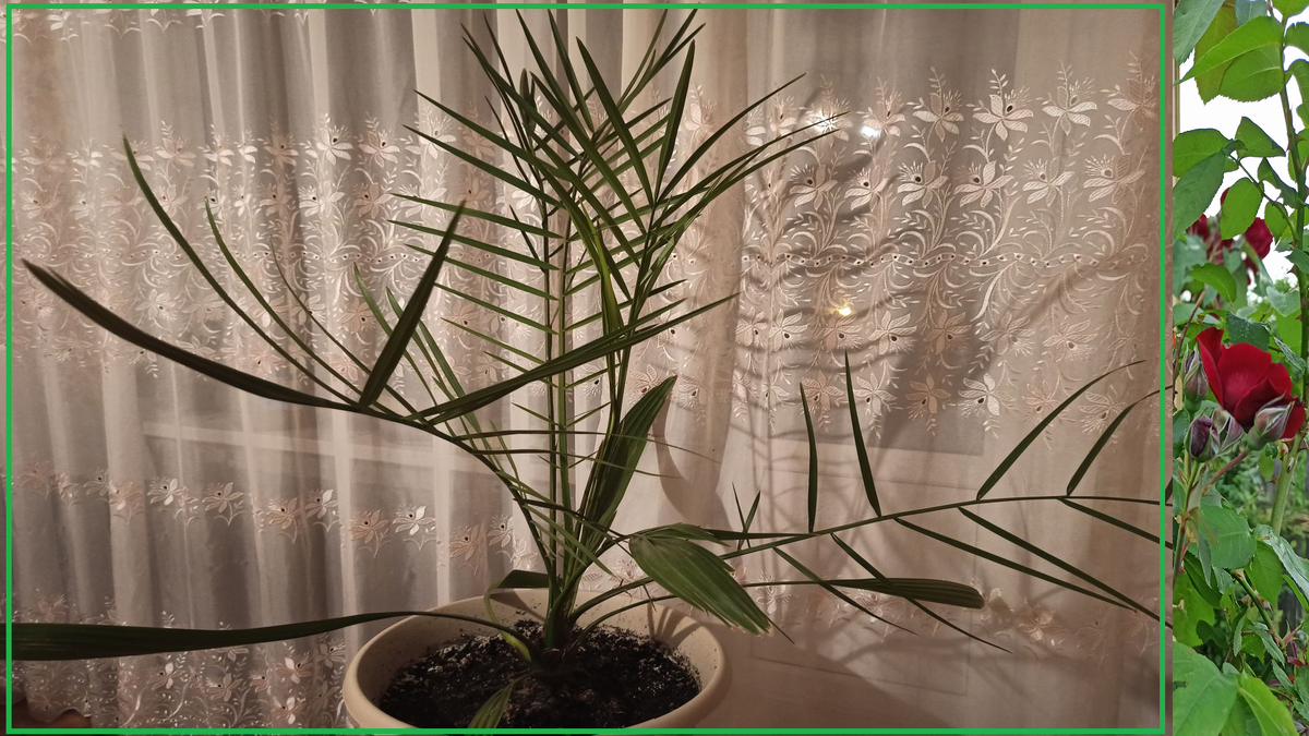 Ставьте, пожалуйста "Класс" и подпишитесь на канал!