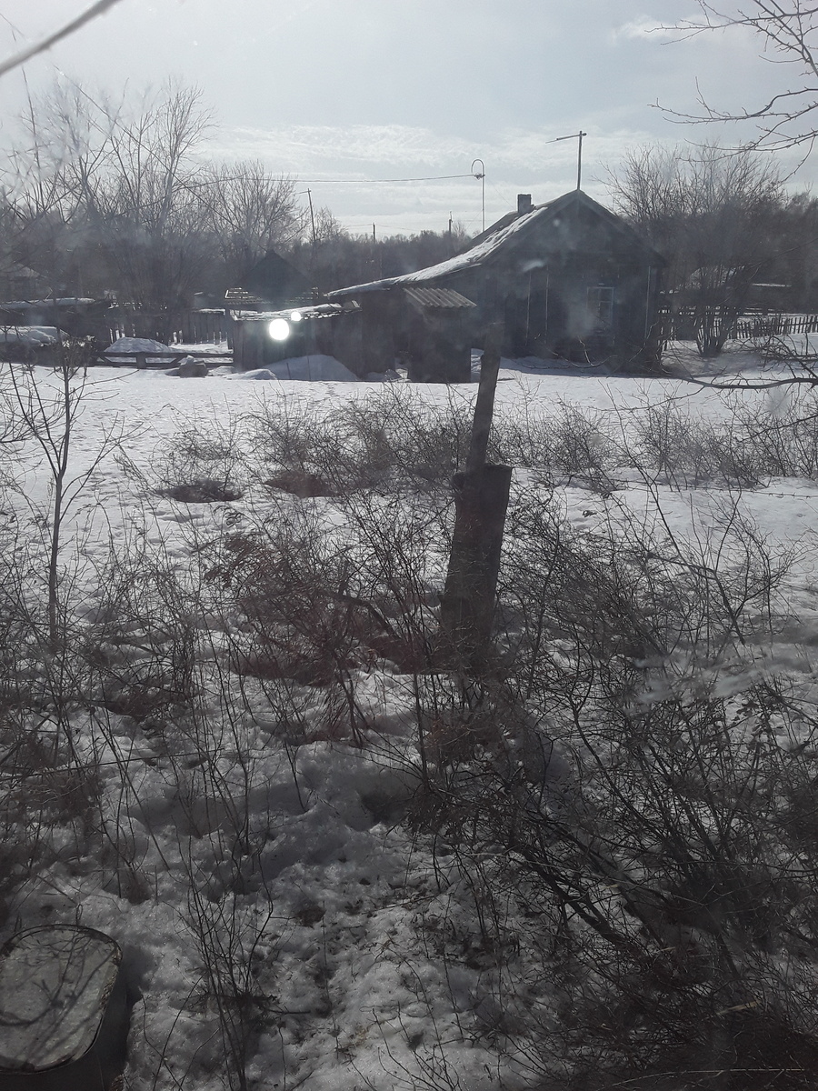 Первый погожий денёк. Фото автора.