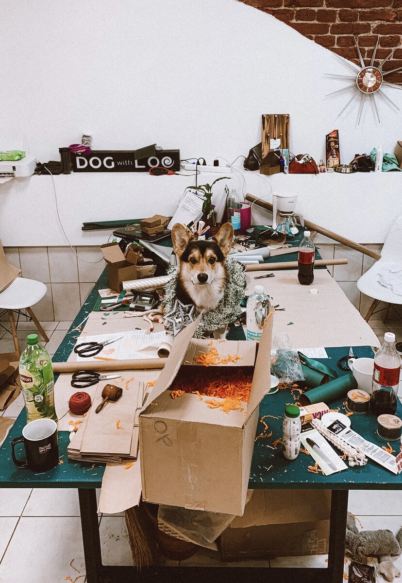 Индиго как всегда помогал нам во всем