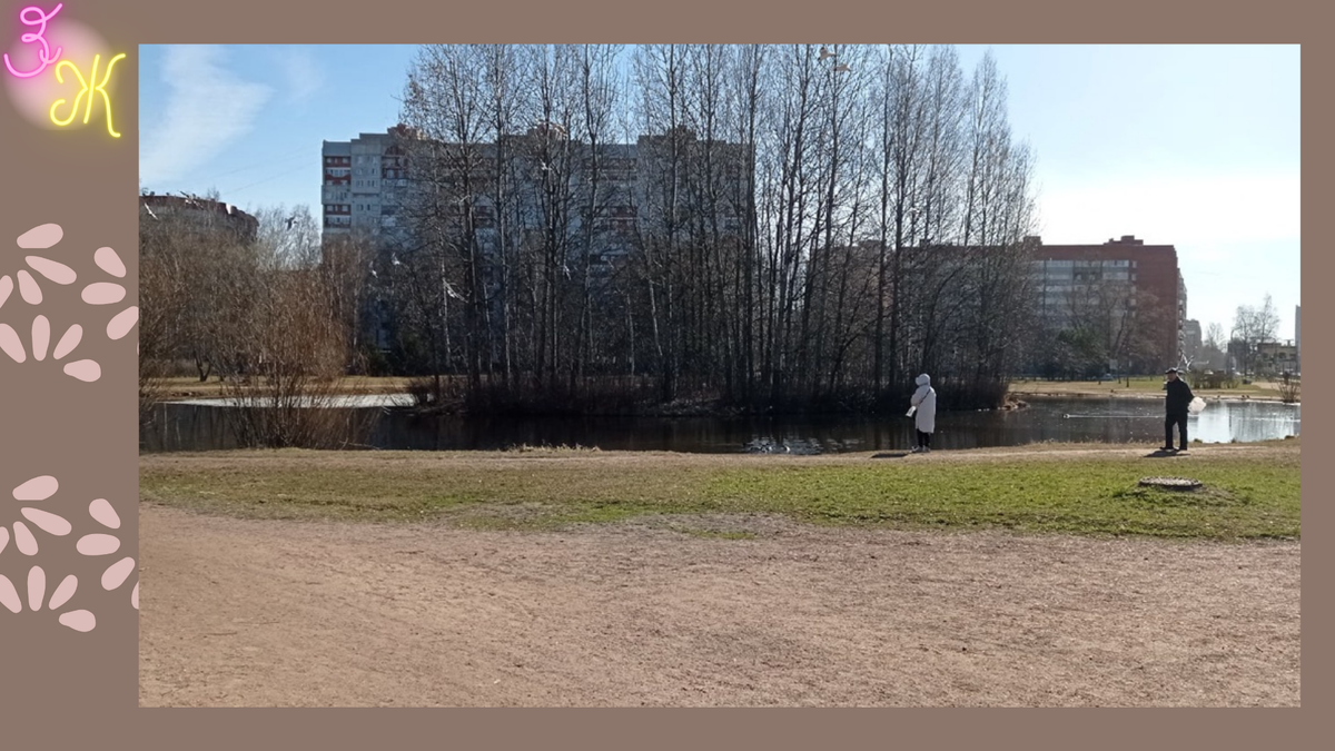 Пруд с островком посередине