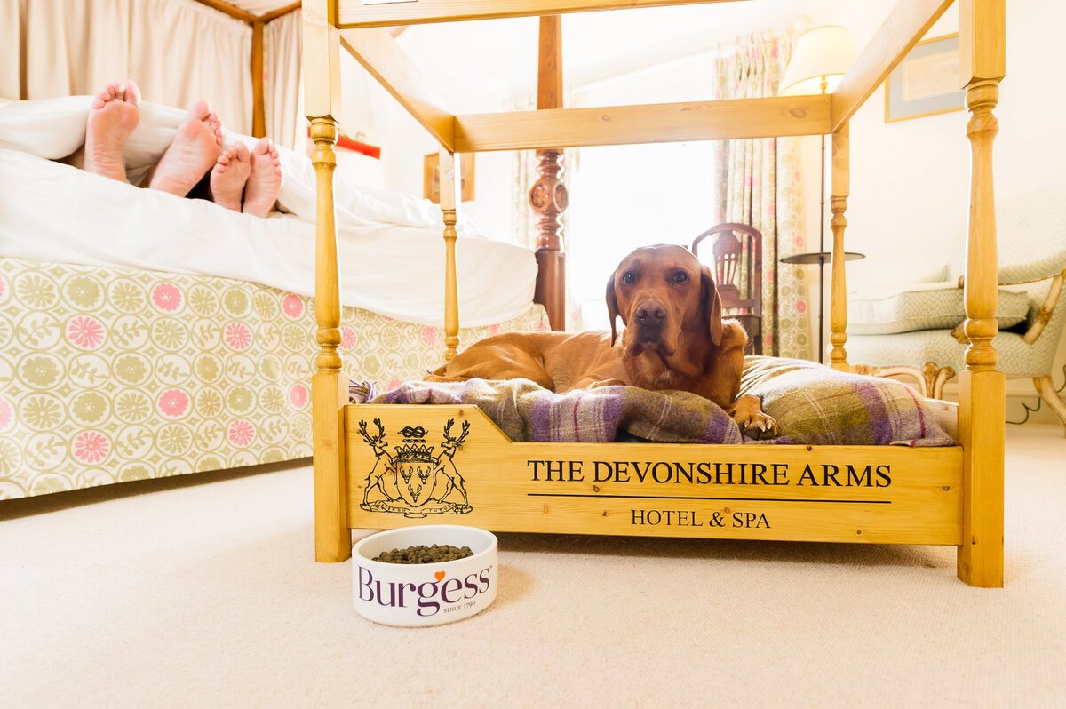 photo: DevonshireHotels 