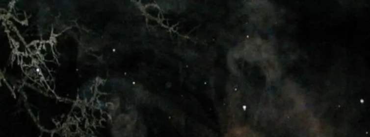 картинка взята из интернета.