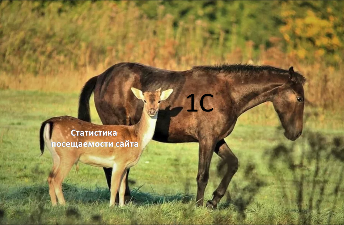 Ну и кто их сможет совместить?