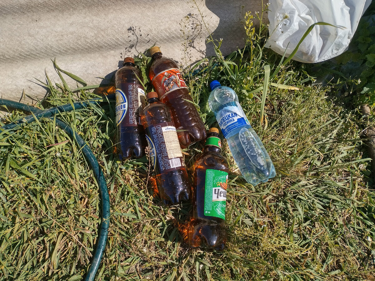 Темные, это не все, часть уже разложила