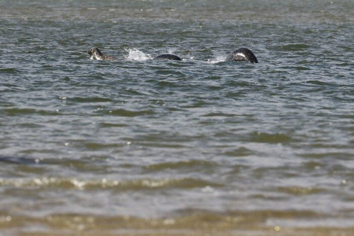 Снимок Бремнера. Источник: Pinterest