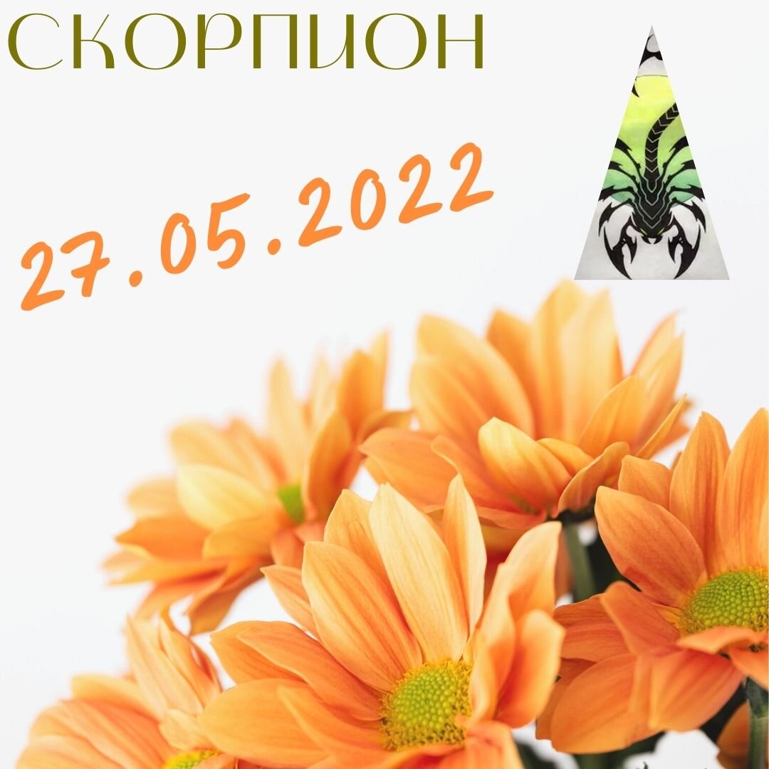 Скорпион - 27.05.2022