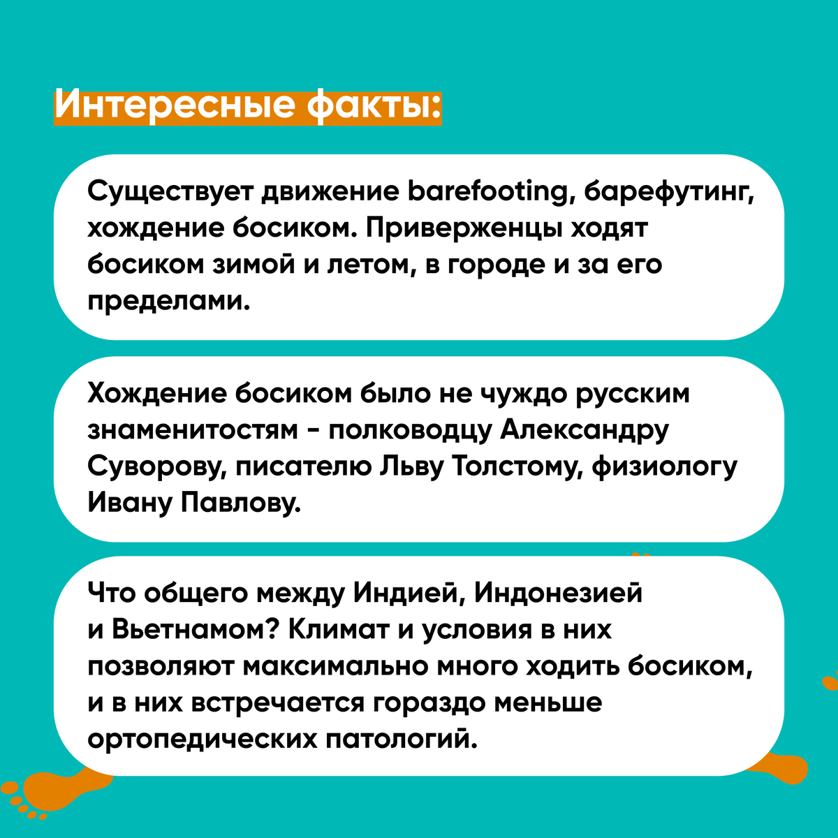 Добавьте описание