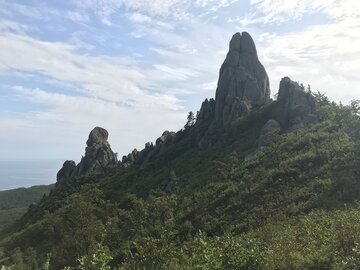 Владивосток и Приморье. Большой гид по статьям