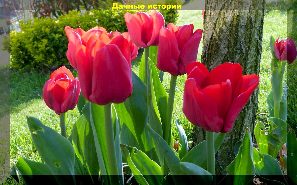 https://vk.com/photo-159774511_457253717