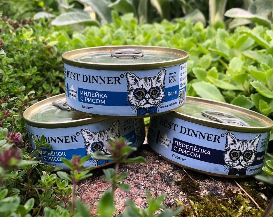 Почечный корм для кошек, который производят в России 