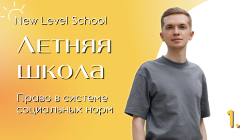 Право в системе социальных норм | Онлайн-школа New Level School