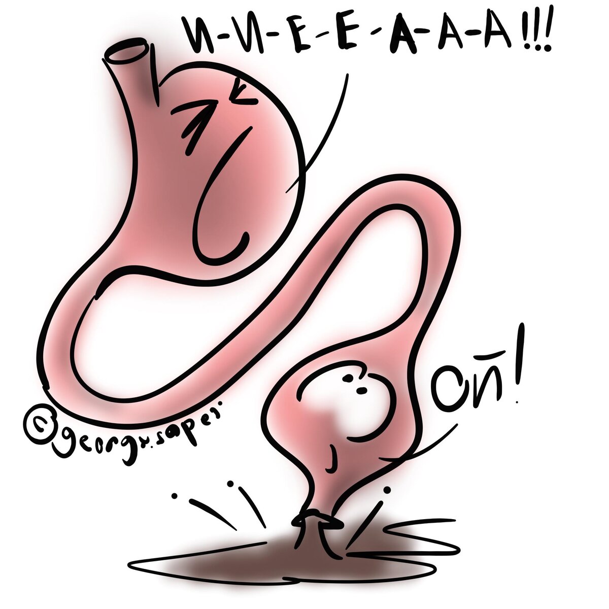 Почему бурчит в животе. Урчит живот от голода. Урчит живот истории. Почему урчит живот. Как сделать так чтобы живот не урчал.