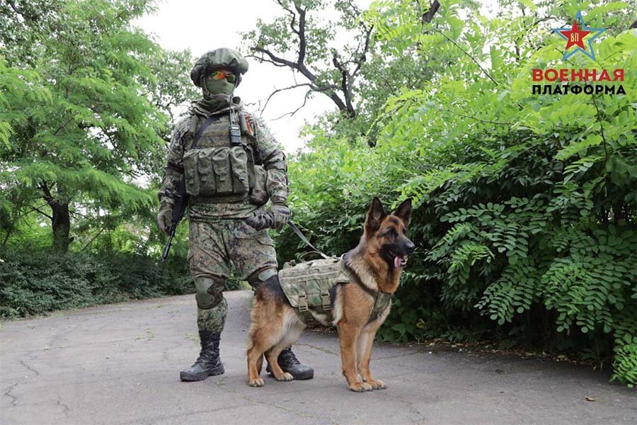 Фото: Военная платформа