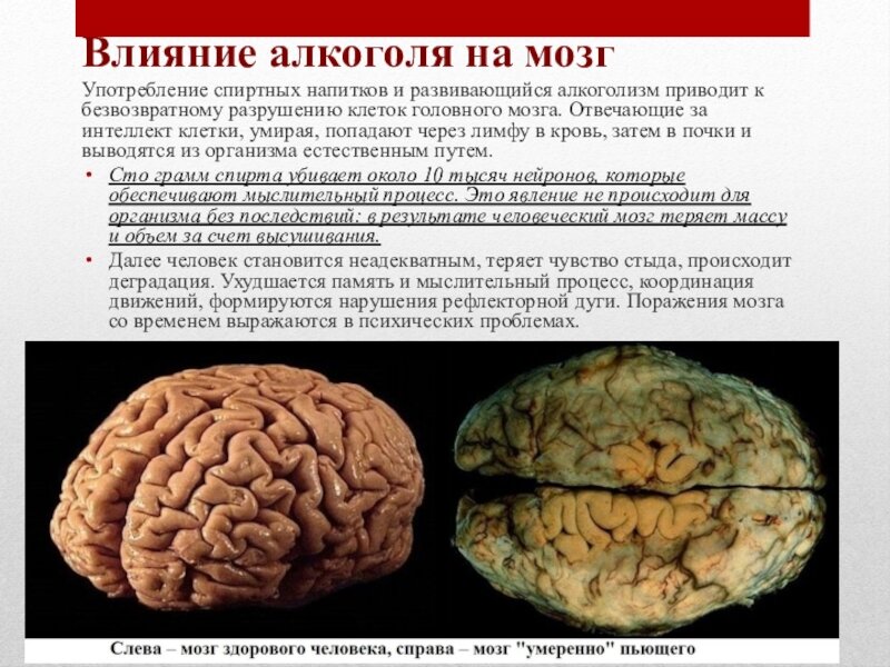 Из Яндекс картинок