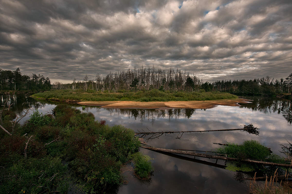 Мещёра. Фото из открытых источников.