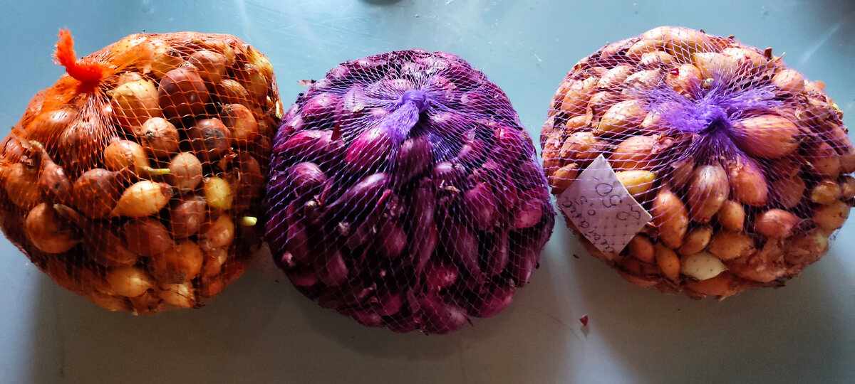 Цены на севок сошли с ума. Буду учиться сажать чернушку