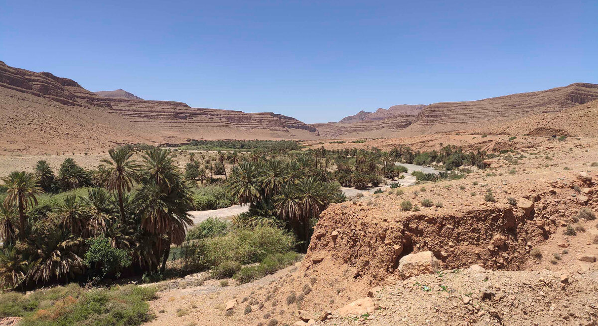 Дорога в Мерзугу 2022 г