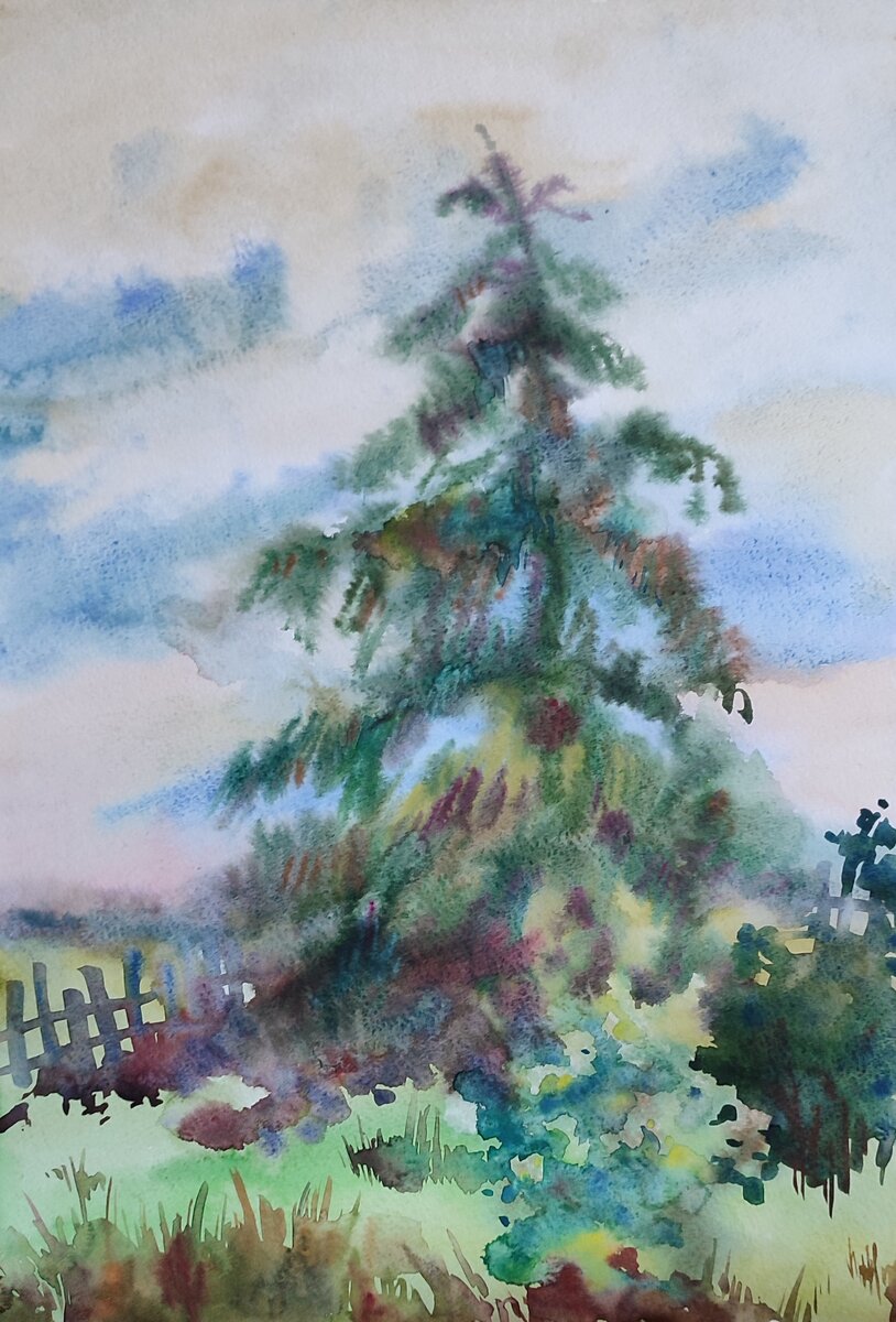 Ель в саду художника. Бумага, акварель. 2022г. Ульяновская область, село Красная река. Автор - Марина Краюшкина. 