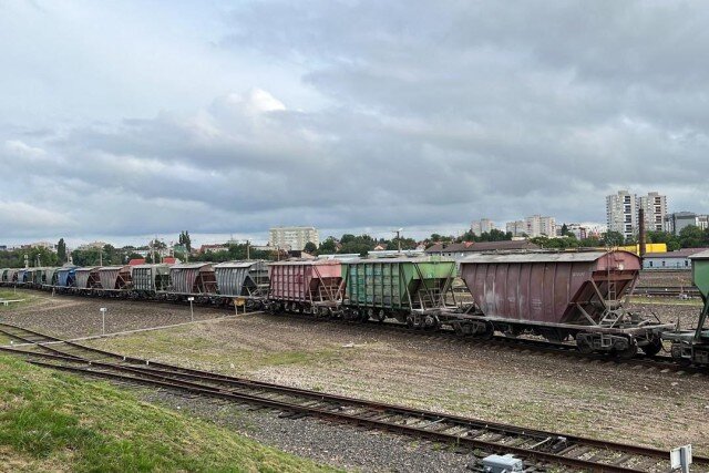   Фото: пресс-служба регионального правительства