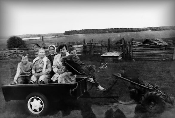 Командировка на лесную пожню.