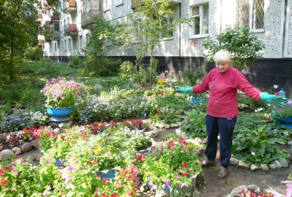 Клумба с цветами фото возле подъезда