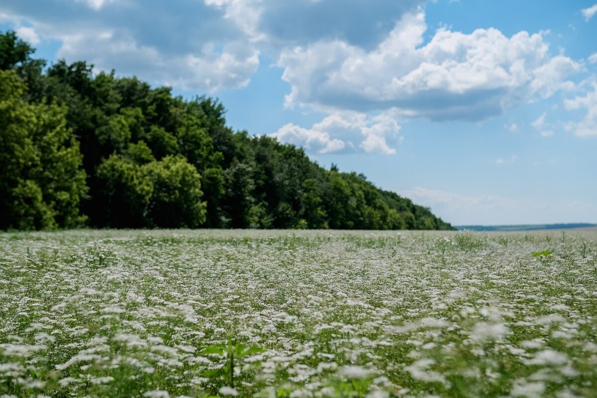 © Фото: ИД «Волгоградская правда» / Сергей Каширский / архив