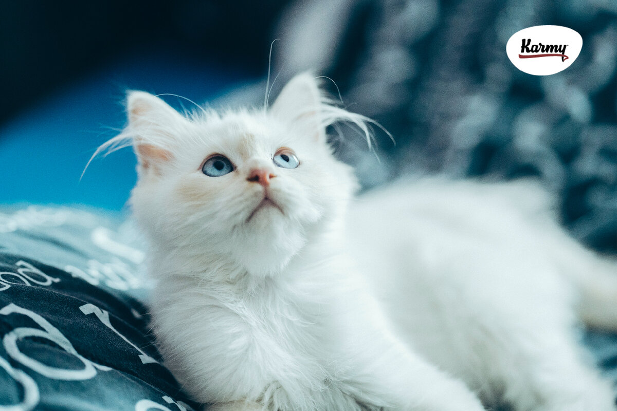 Авторское изображение с использованием картинки с фотостока "Unsplash"