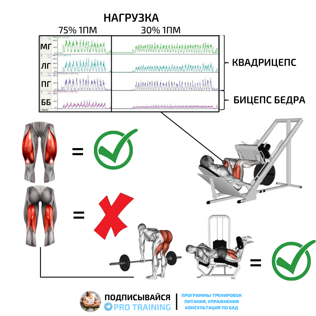 Жим ногами нормативы