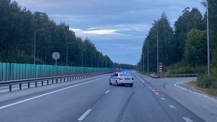   Фото ОГИБДД Екатеринбурга
