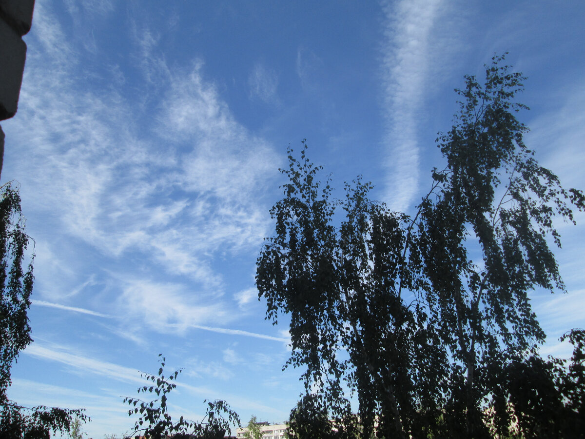 12.08.2022 года, Нижегородская область, утро.