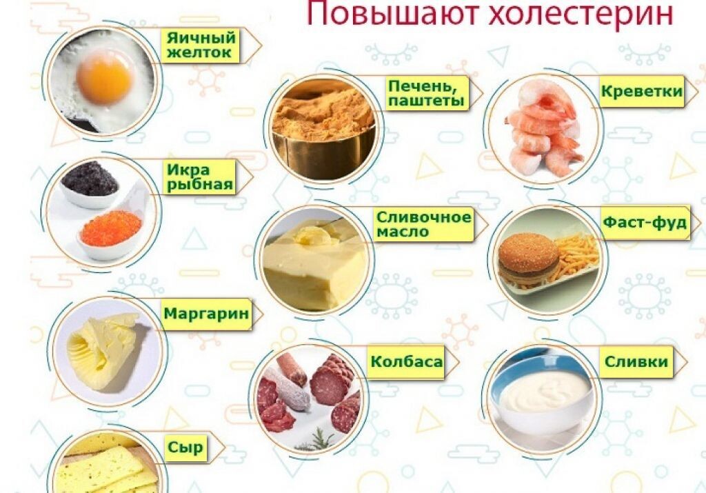 Продукты, повышающие холестерин в крови