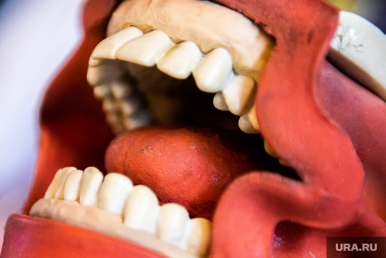    После удаления зуба нельзя спать на спине, сказал Николай Ожерельев