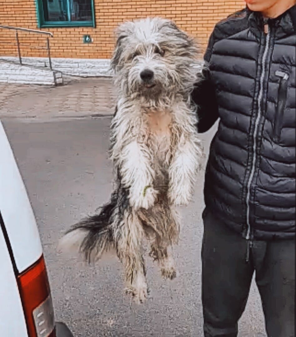 Малыш пойман отловом, ему не убежать теперь