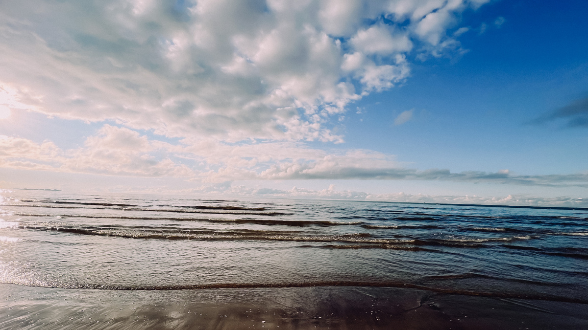 Пляж Дубки. Сестрорецк