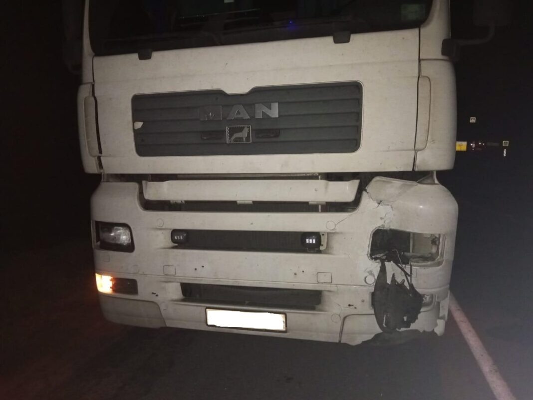    Фото с сайта Госавтоинспекции Рязанской области