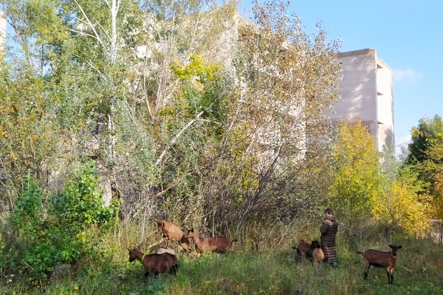    Фото:  АиФ/ Юрий Голубь