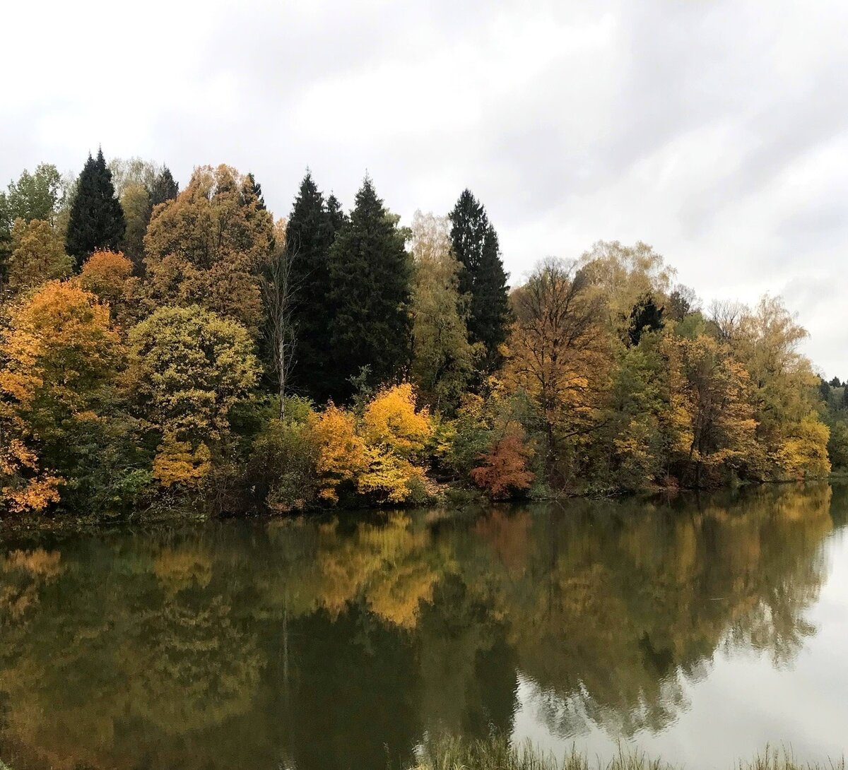 А возле дома - золотая осень.