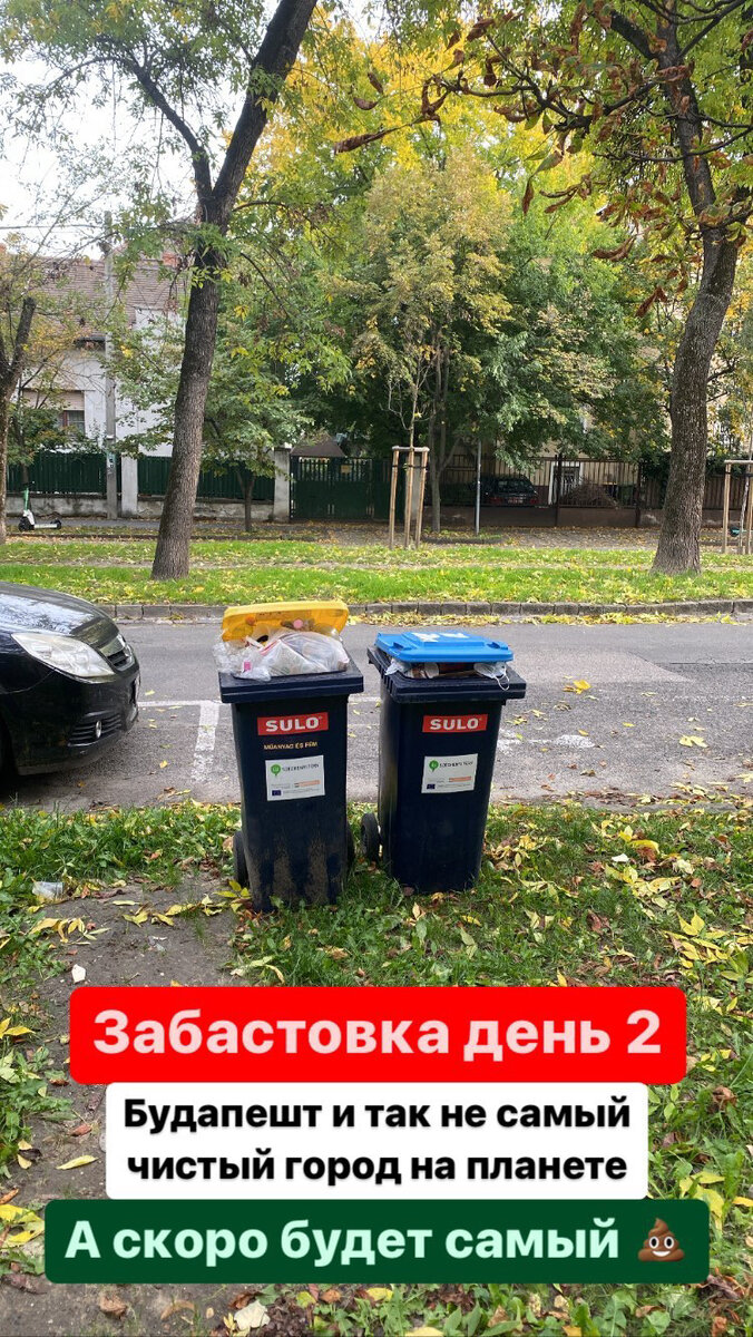 Около нашего дома