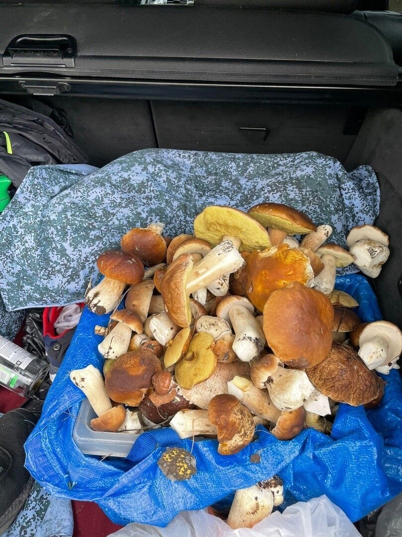 Фото:vk.com/garaslena