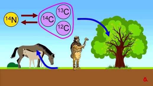 Как работает радиоуглеродный метод?