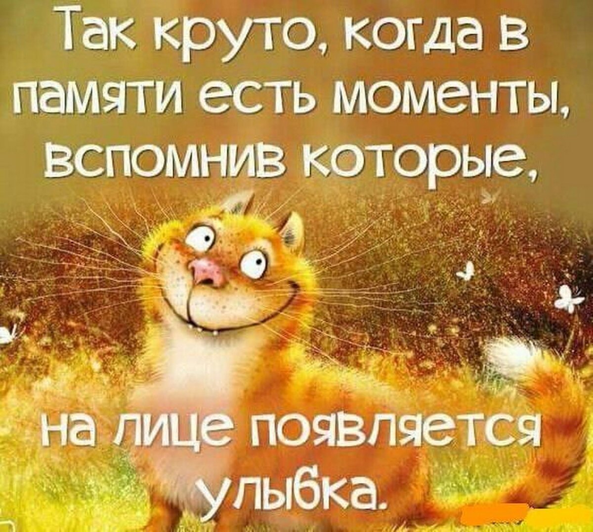 Яндекс.ру