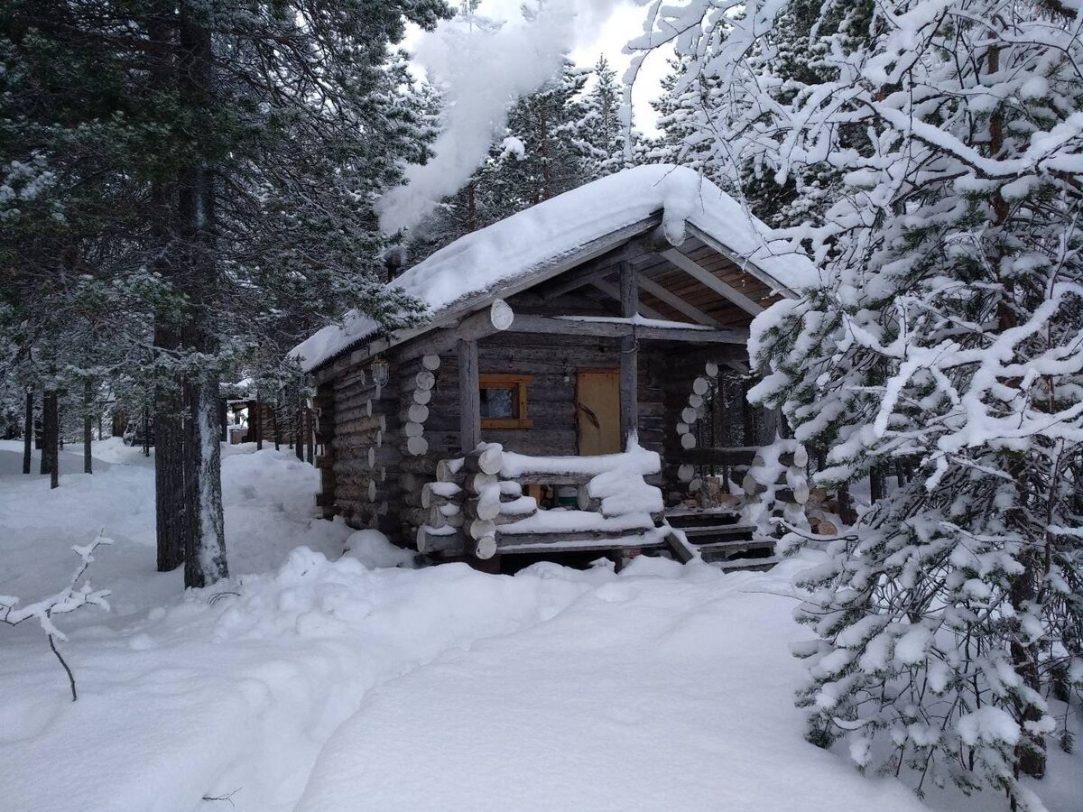 фото из интернета