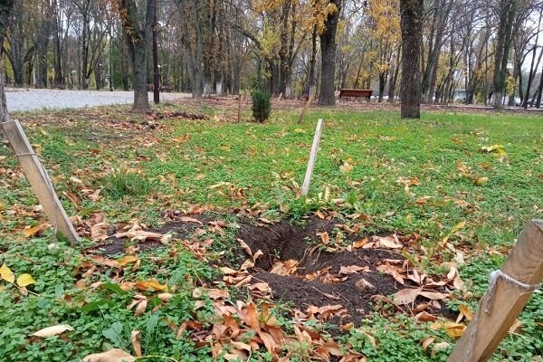 Релиз парк новочеркасск. Парк Победы Донской. Вандалы металла фото.