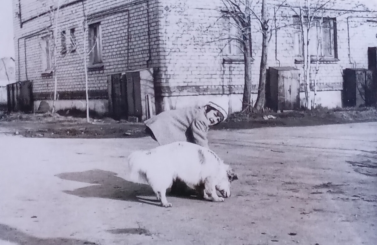 Это я гуляю во дворе. И напротив -барак с газовым баллонами. 