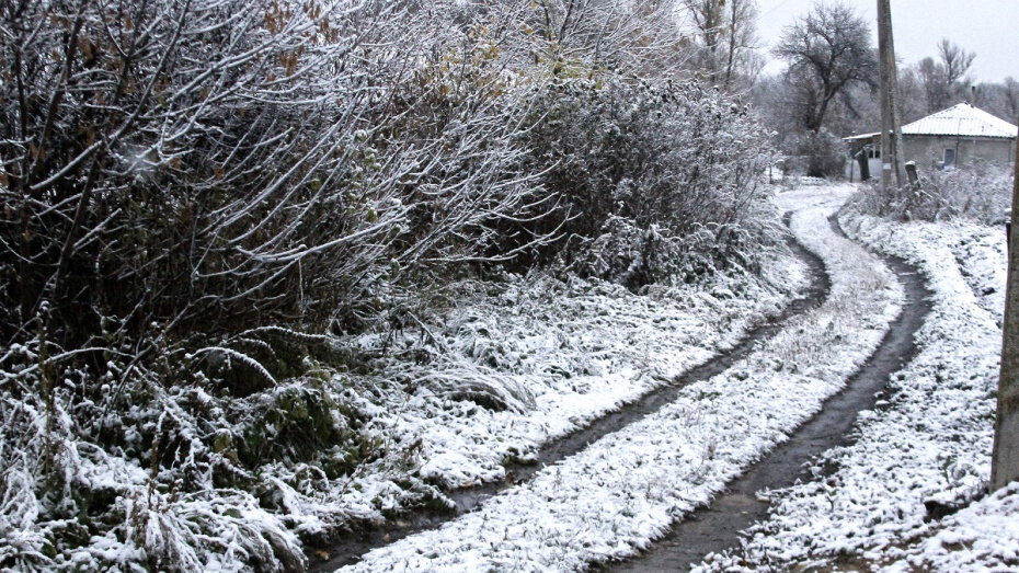   Автор фото: Евгения Емельянова (из архива)